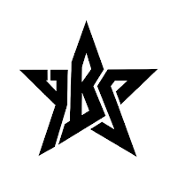 YBS Skola