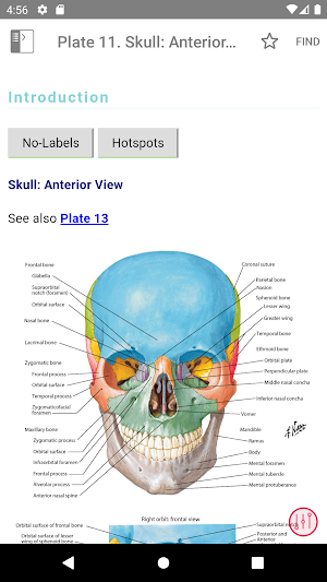 Netter's Atlas of Human Anatomy Screenshot 3