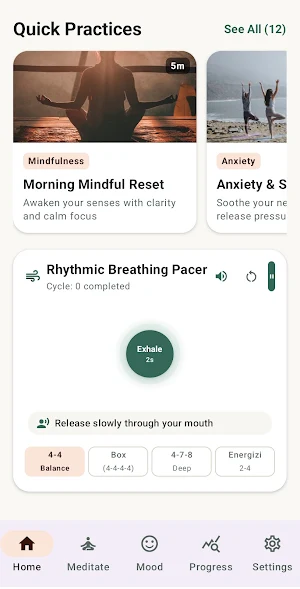 MicroZen Screenshot 2