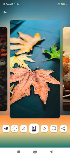 Autumn Wallpapers HD Screenshot 2