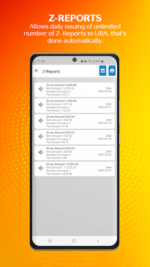 WEB EFRIS Screenshot 2