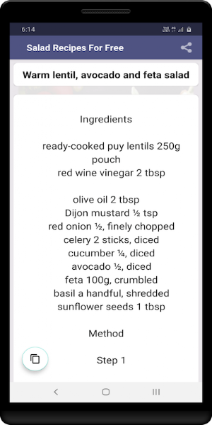 Salad Recipes For Free Screenshot 2
