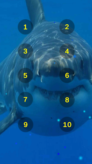 Great White Shark Soundboard Screenshot 1