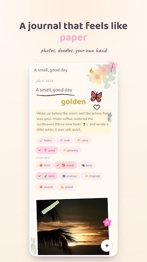 Cocoon Screenshot 2