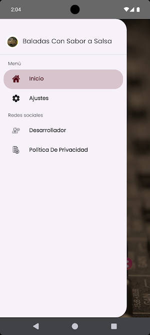 Baladas Con Sabor A Salsa Screenshot 2