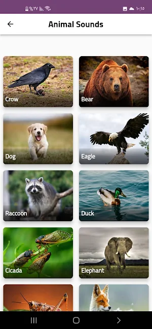 Animal sounds in nature Screenshot 2