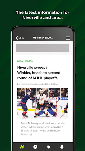 NivervilleOnline Screenshot 1