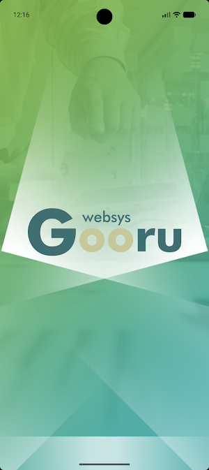WebsysBI Screenshot 0