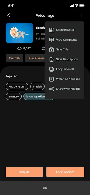 Keyword finder: find your tags Screenshot 2