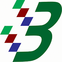 BS Business Studio