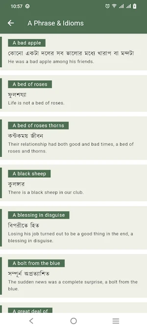 E2B Phrase and Idioms Screenshot 1