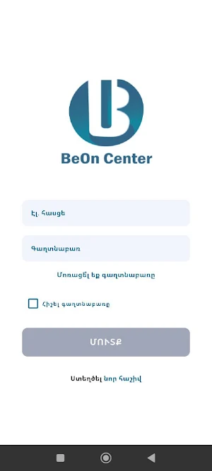 BeOnline: Accounting Screenshot 0