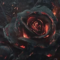 Black Walls | Wallpapers HD 4K