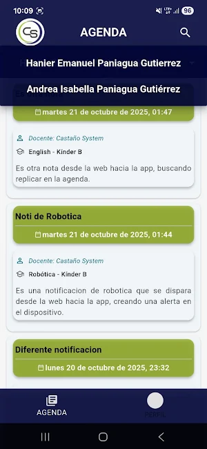 Casys Screenshot 3
