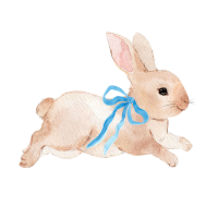Rabbit Race Theme +HOME