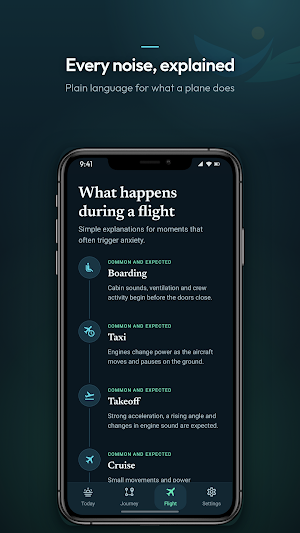 AviCalma: Fear of Flying Screenshot 3