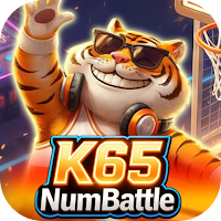 K65NumBattle