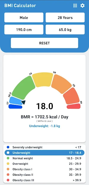 BMI Calculator Screenshot 2