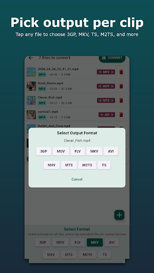 MP4 to MKV Converter Screenshot 3