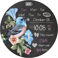 BFF84- Blackboard Art Bird