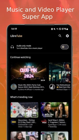 Spotube Screenshot 0