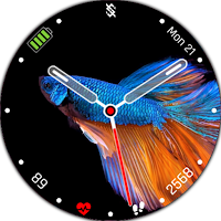 BFF2- Animation Siamese fish