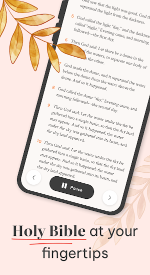 Bible Offline, Bible Audio Screenshot 1