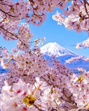 Japan Wallpaper HD Screenshot 1