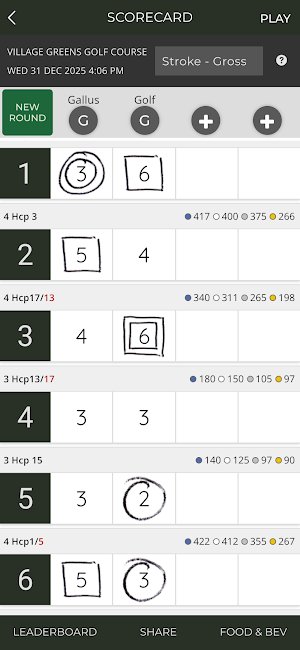 Village Greens Golf Course Screenshot 2