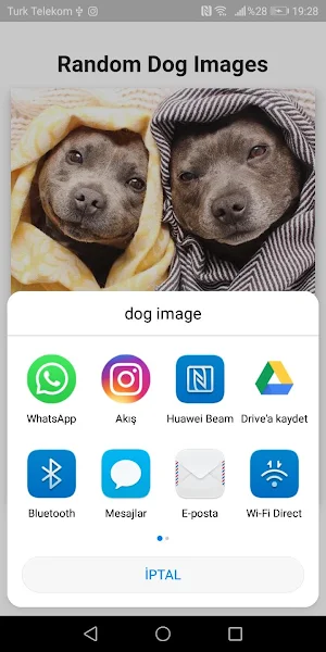 Random Animal Pictures Screenshot 1