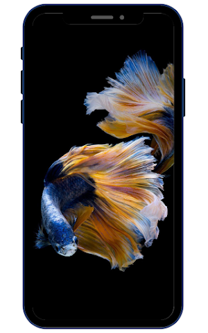 Goldfish Wallpapers Screenshot 1