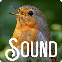 Robin Bird Soundboard Ringtone