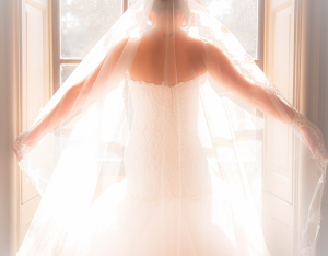 Cheap Women wedding dresses Screenshot 2
