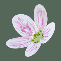 Flora of Virginia