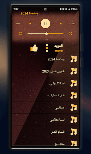 اغاني سيلاوي 2024 I بدون نت Screenshot 1