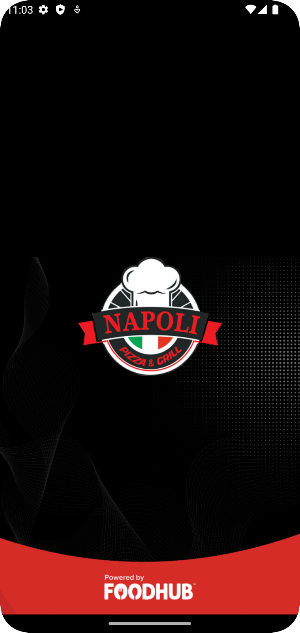 Napoli Pizza and Grill Screenshot 0