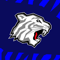 Nürnberg Ice Tigers
