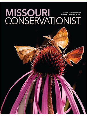 MO Conservationist Magazine Screenshot 1