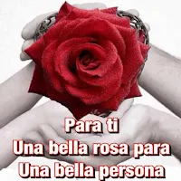 Rosas con Frases Bonitas