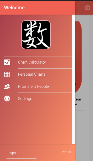 Numerology Practitioner Tool Screenshot 2