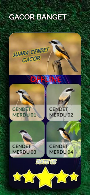 Suara Burung Cendet Screenshot 2