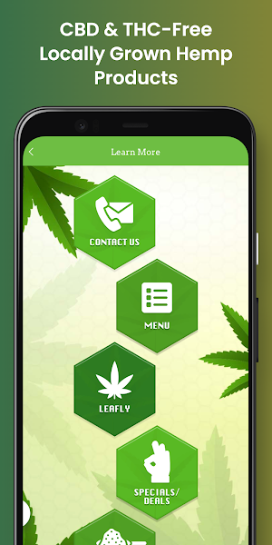 I-90 Green House Screenshot 3
