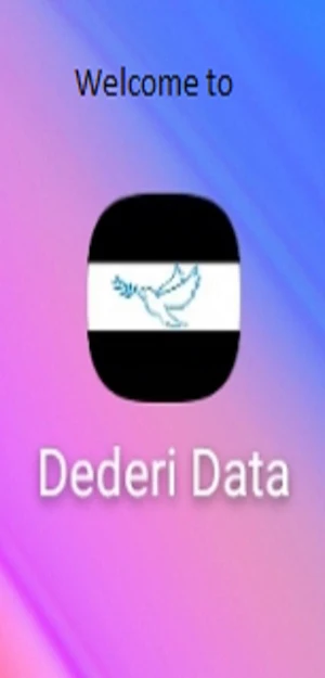Dederi Data Screenshot 2