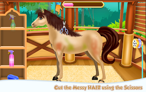 Horse Spa Caring Screenshot 1