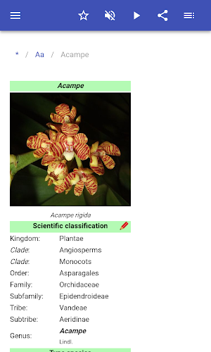 Orchids Screenshot 2