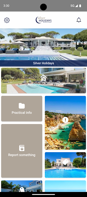 Silver Holidays Screenshot 0