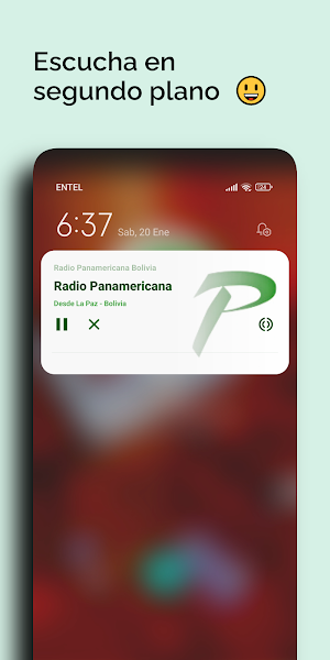 Radio Panamericana Bolivia Screenshot 3