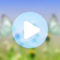 Mika Singh All Video