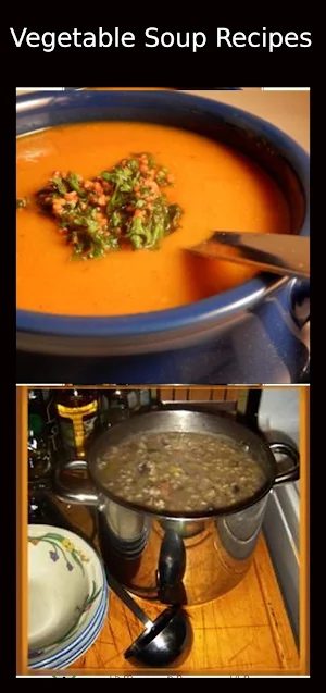 Vegetable Soup Recipes Screenshot 0