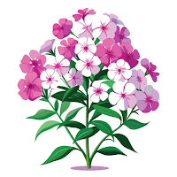AI Phlox Scanner
